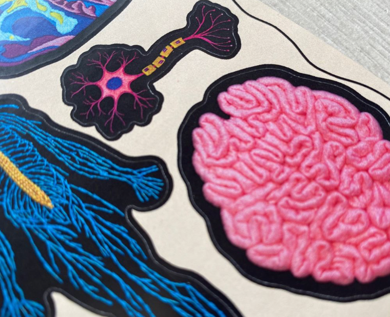 Virtual Workshop: How to regulate your nervous system | 3rd February