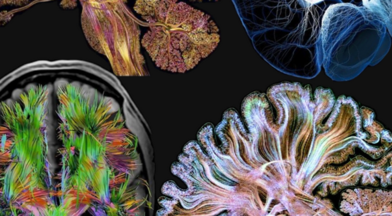 Virtual Workshop: Why we drink too much | 21st January